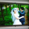 Tranh điện mica ốc chân kính 600×1000